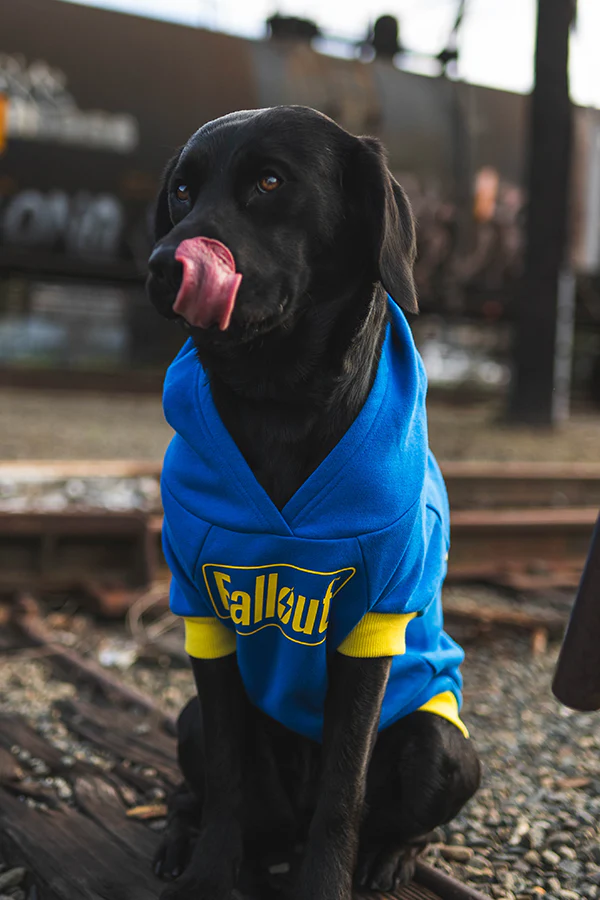 Fallout Vault 101 Pet Hoodie - Image 2