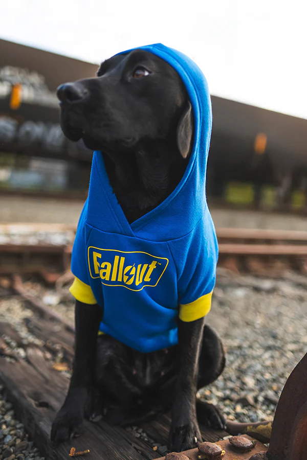 Fallout Vault 101 Pet Hoodie - Image 3