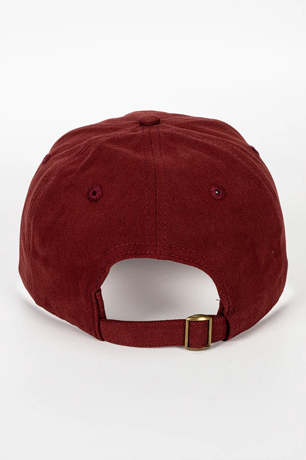 Starfield Crimson Fleet Logo Hat - Image 11