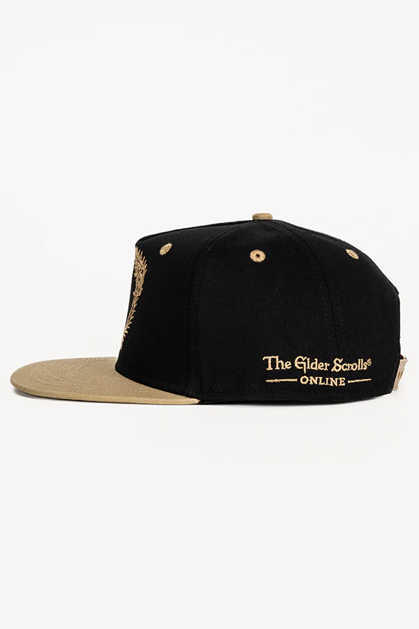The Elder Scrolls Online Ouroboros Snapback Hat - Image 8